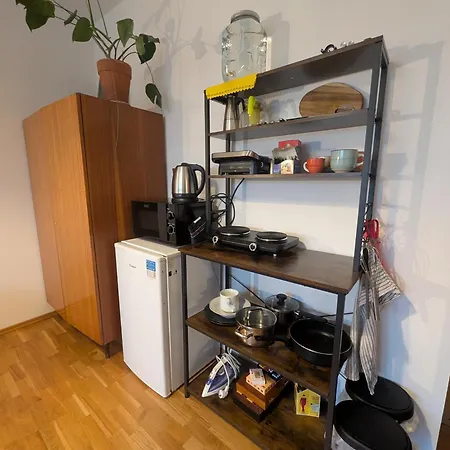 Cozy Near Center With Private Bathroom In A Shared Flat 公寓 布拉格