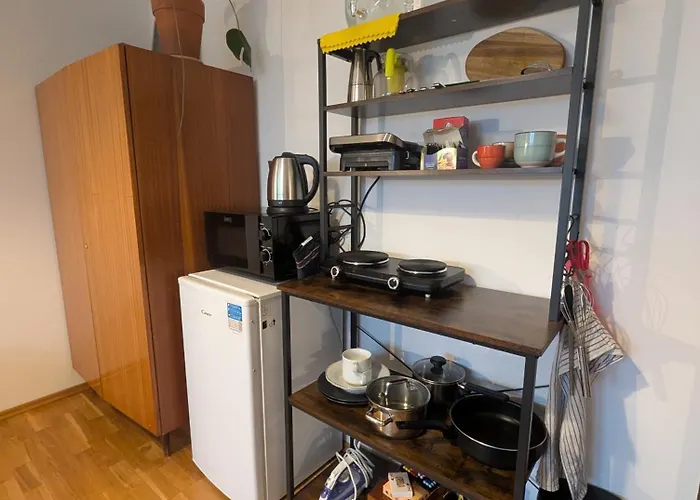 Cozy Studio-room Near Center With Private Bathroom Apartament Praga